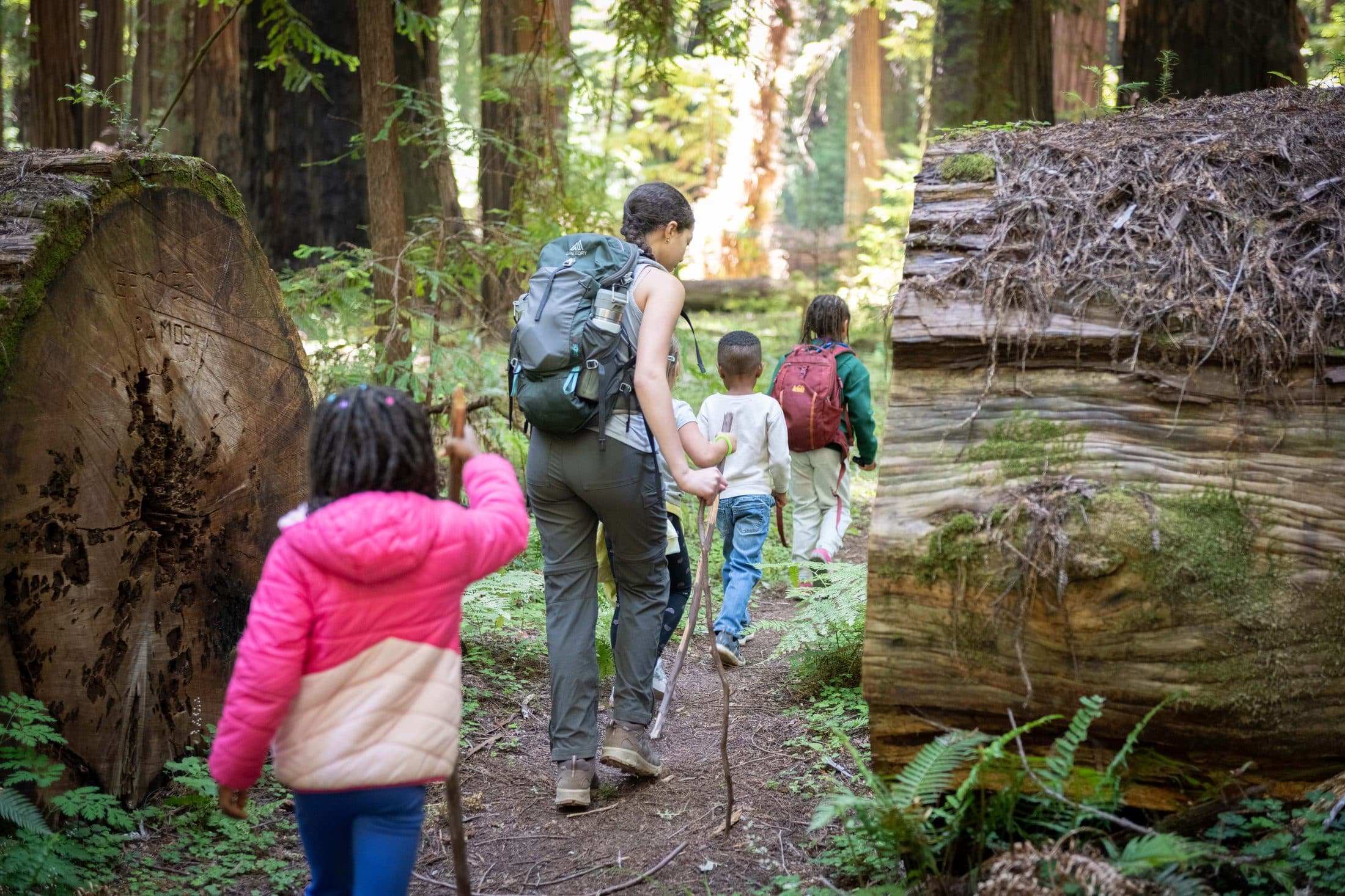 A parent and several children walking a fern-lined trail together through the redwoods at Humboldt