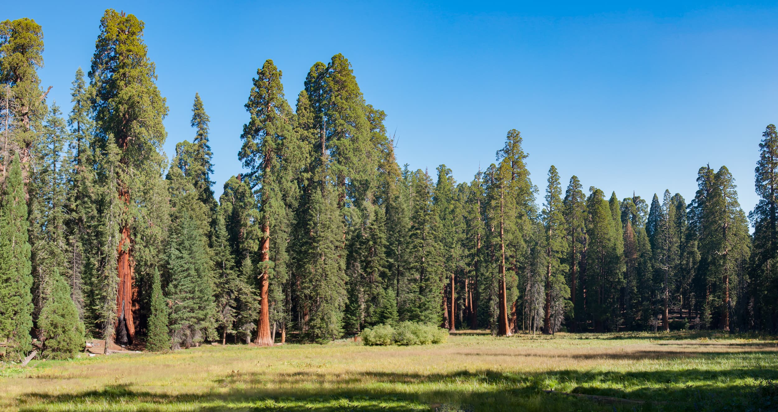 Kings Canyon 4th of July: Canyon, River & Family Fly Fishing