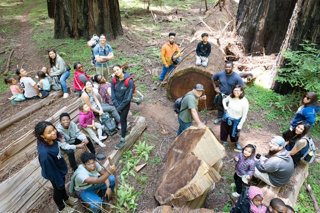 Community members hiking together at Humboldt Redwoods