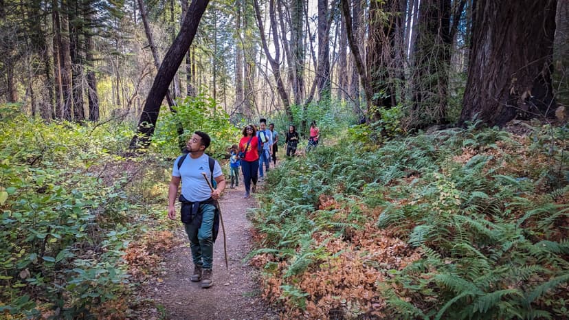 Families on the group hike at the first Outdoorithm Collective trip in Napa
