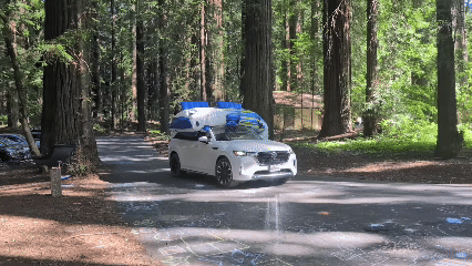 A camper's car pulls into the group campsite at Humboldt Redwoods with an enormous inflatable floatie strapped to the roof